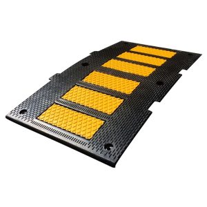 Lomo Toro Dakar